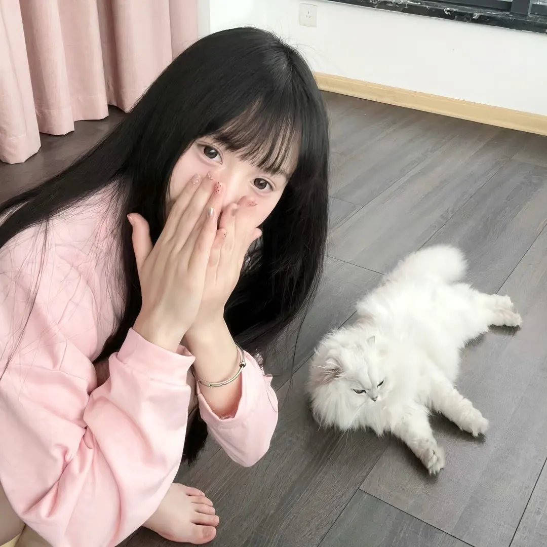 伏妖开封府之御猫展昭