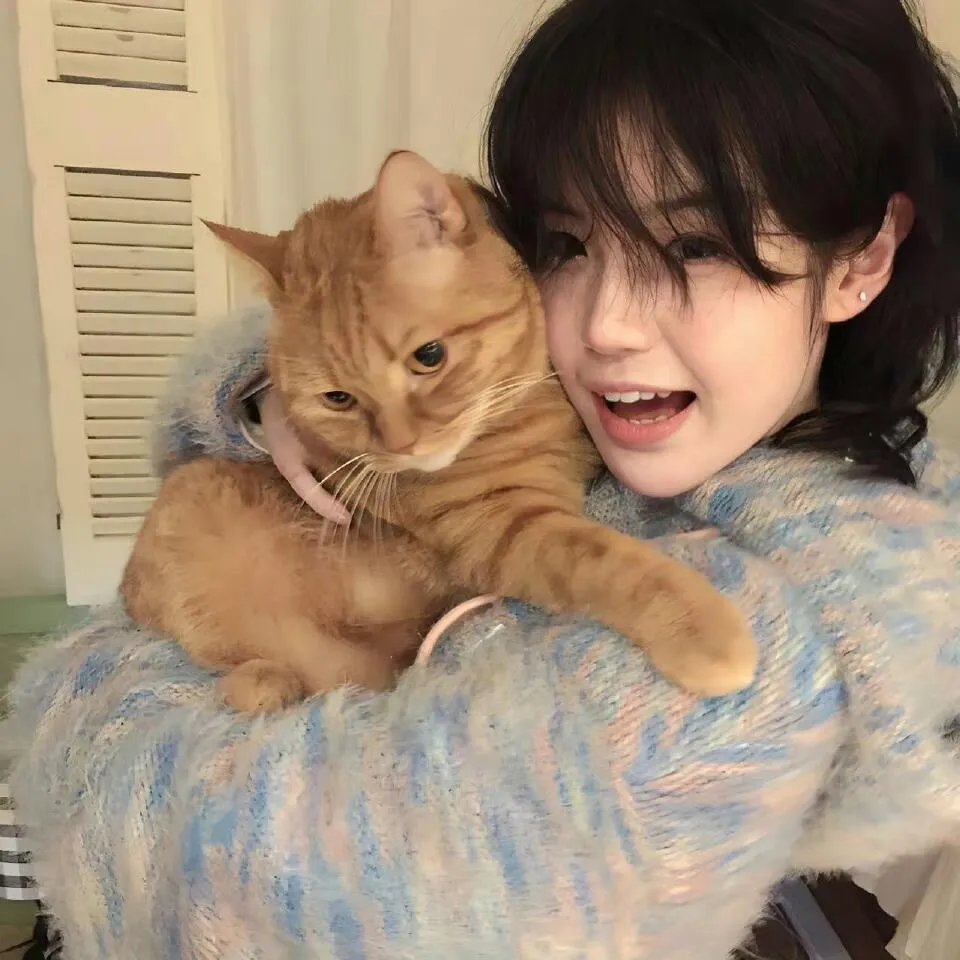 荒野的寿飞行队外传 天空的春风飞行队